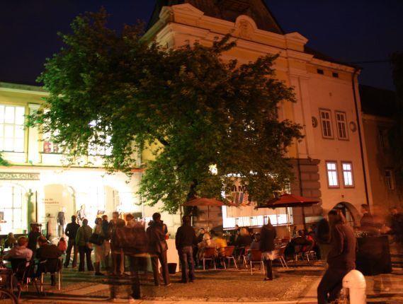 Poletna muzejska noč v UGM, 2009, foto: arhiv UGM