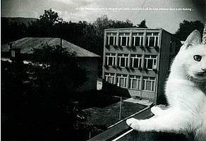 Aleksandra Vajd, fotografija iz cikla Drobtine po rjuhi, 2001