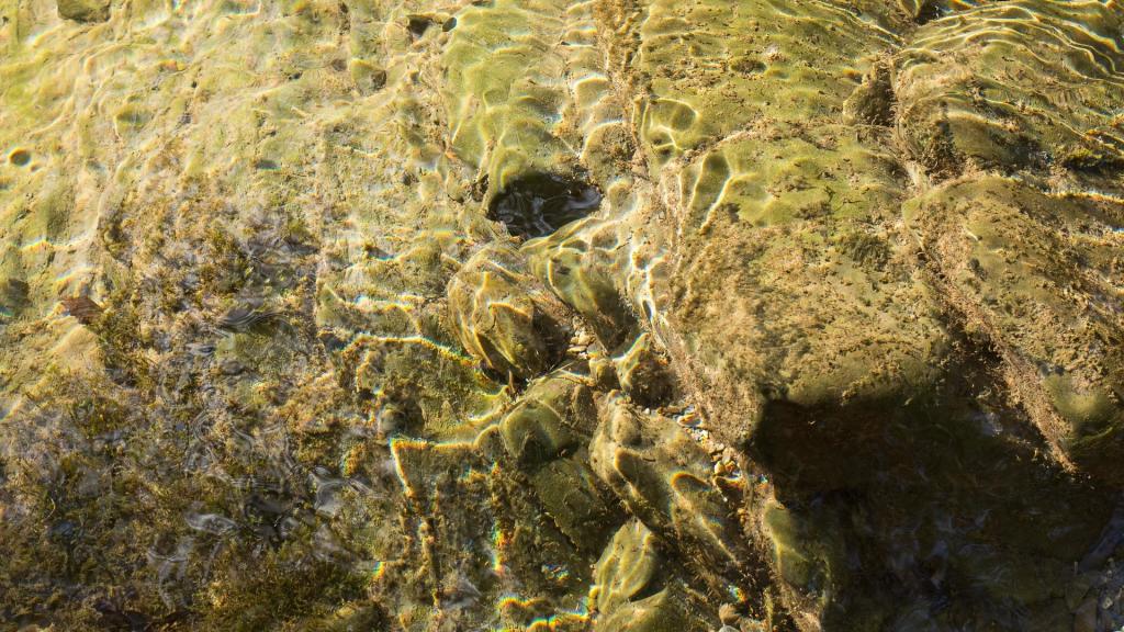 Ana Pečar, Ogenj Voda, video, 2016