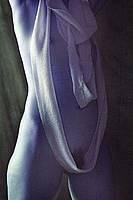 Bogomir Čerin, Trak, 2005