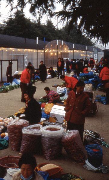 Yi Jong-Ho, Gwangju Bienale, projekt 4, Junggu, Gwanju, Koreja, 2002