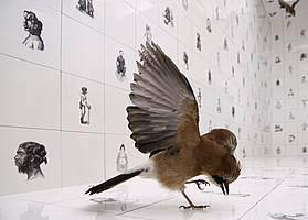 Jasmina Cibic, For the Birds, 2007, detajl (foto: Pete Moss)