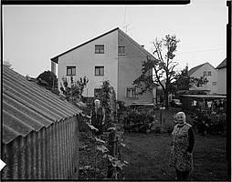 Matjaž Wenzel, iz cikla HK, 2006
