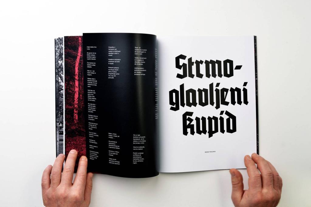 Rebus 05, Matjaž Wenzel in Rene Maurin, 2017