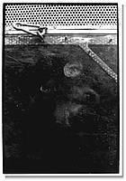 Sergio Belinchón, Circo, 1996