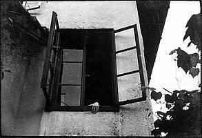 Zmago Jeraj, Roka, 1971, fotografija